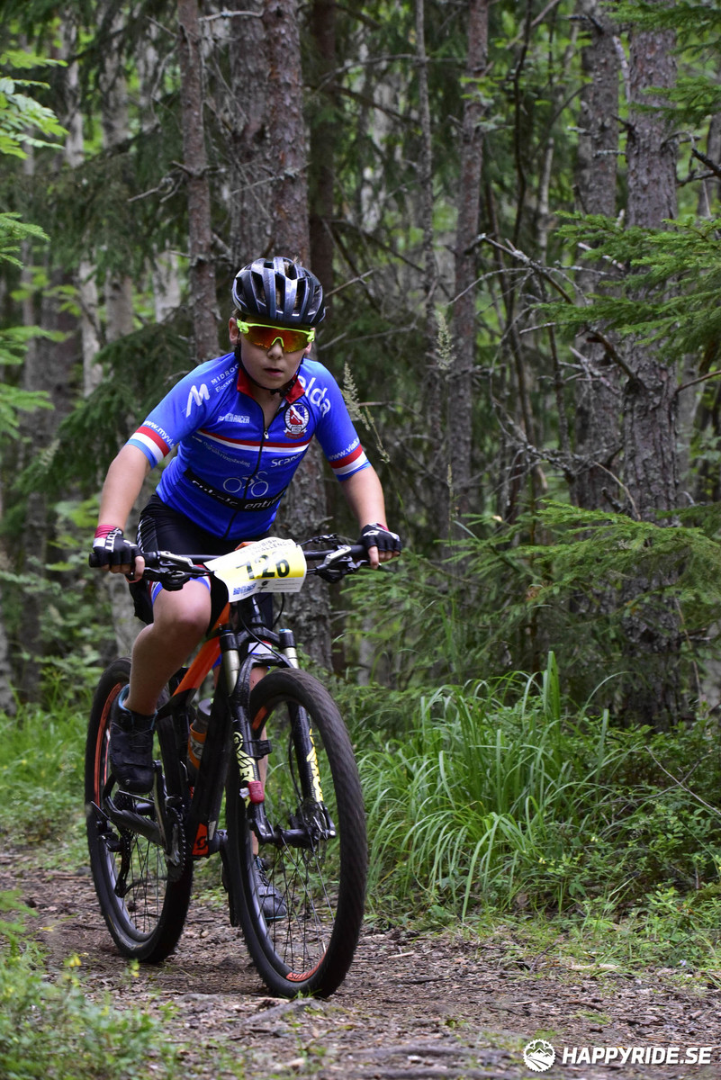 Bild från Engelbrektsturen 2019